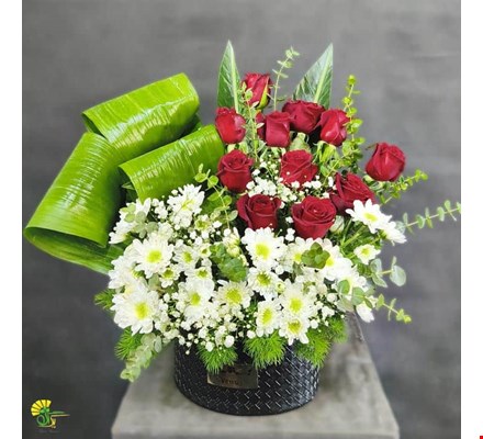 باکس گل تبریک ونوس - خرید گل مشهد