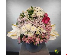 باکس گل طاها