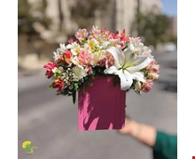 باکس گل تیام