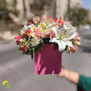 باکس گل تیام