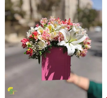 باکس گل تیام