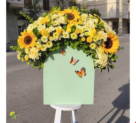 باکس گل هدیه و کیک آفتابگردان- خرید گل مشهد
