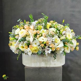 باکس گل زندگی