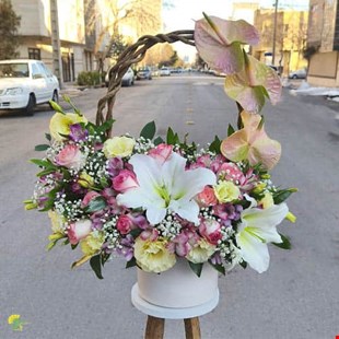 باکس گل ژاله