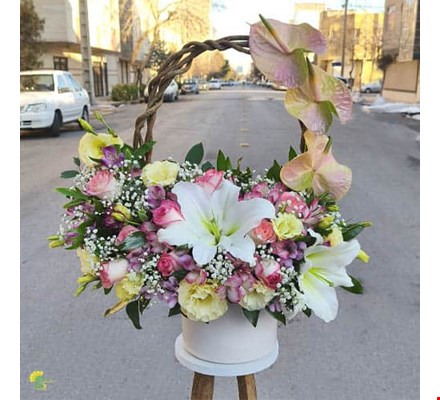 باکس گل ژاله