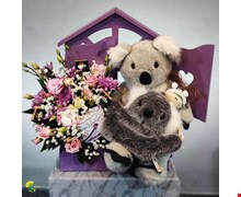 باکس هدیه کوالا