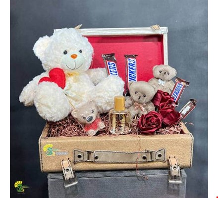 باکس هدیه ولنتاین کد v34