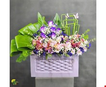 باکس گل لاکچری رز و آلستر - خرید گل مشهد