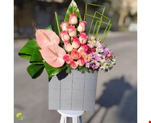 باکس گل آنتوریوم و رز هلندی