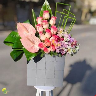 باکس گل آنتوریوم و رز هلندی