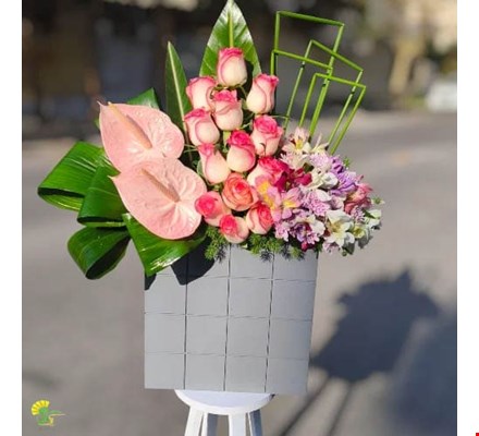 باکس گل آنتوریوم و رز هلندی