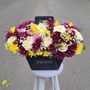 باکس گل هدیه پارادایس کد 16 