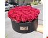 باکس گل رز قرمز - خرید گل مشهد