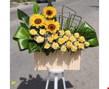 باکس گل رز و آفتابگردان