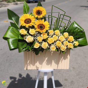 باکس گل رز و آفتابگردان