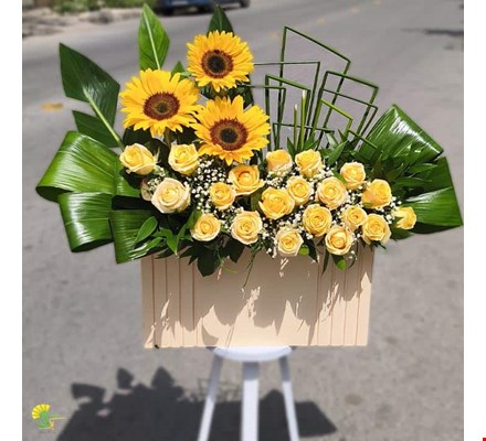 باکس گل رز و آفتابگردان
