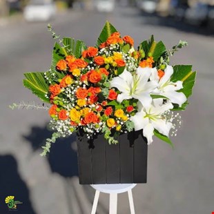 باکس گل تبریک رز و لیلیوم