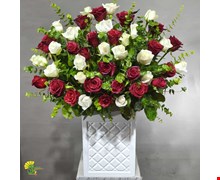 باکس گل هدیه رز 