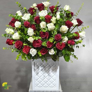 باکس گل هدیه رز 