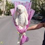 دسته گل خرگوش