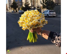 دسته گل نرگس کد 5