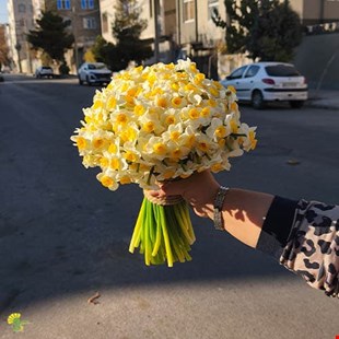 دسته گل نرگس کد 5