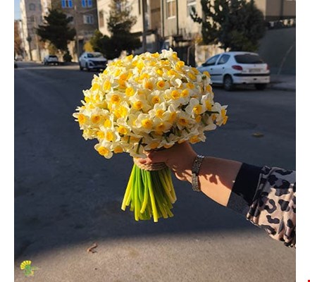 دسته گل نرگس کد 5