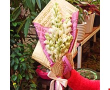 دسته گل مریم 