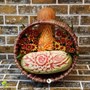 باکس گل یلدایی کد y9