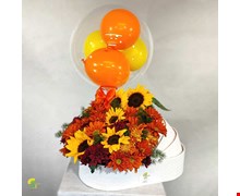 گهواره نوزاد کد 16