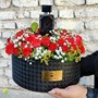 دیزاین هدیه کد g3