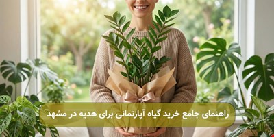 راهنمای جامع خرید گیاه آپارتمانی برای هدیه در مشهد