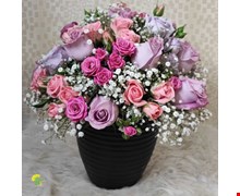 گلدان گل فرید