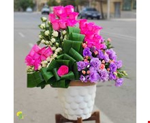 گلدان گل پروین