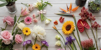 راهنمای انتخاب گل دخترانه و پسرانه در مشهد | محبوب‌ترین گل‌ها برای هدیه به پسر و دختر