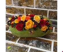 هندوانه یلدایی 