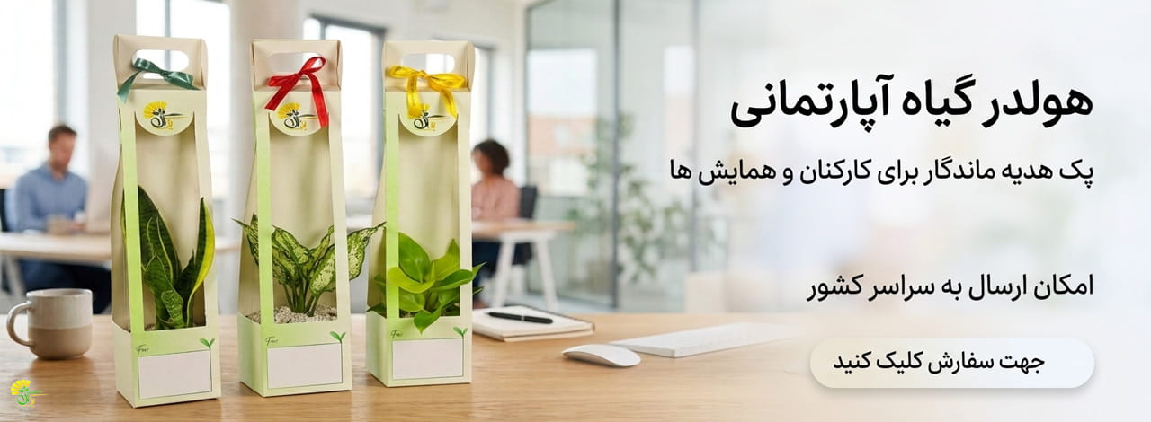 خرید پک گل و گیاه هدیه سازمانی