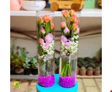 جام گل رز و عروس