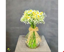 جام گل نرگس و عروس