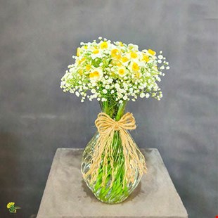 جام گل نرگس و عروس