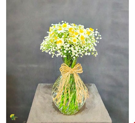 جام گل نرگس و عروس