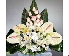 پایه گل ترحیم کد t-63