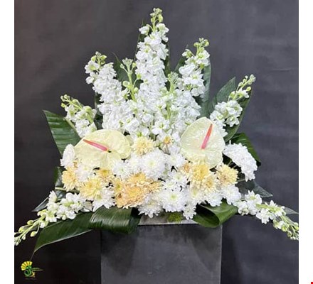 پایه گل ترحیم کد T-92