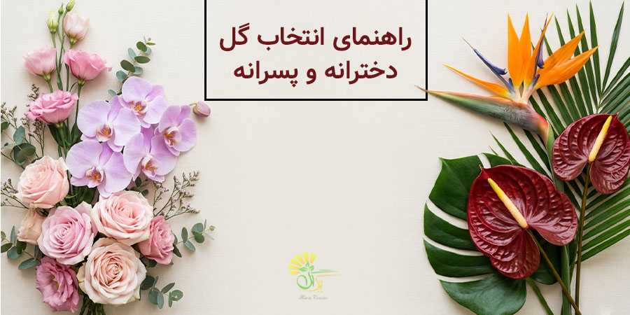 راهنمای انتخاب گل دخترانه و پسرانه در مشهد 