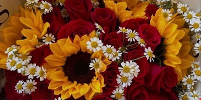 راهنمای خرید گل و هدیه برای مناسبت‌های مختلف در مشهد