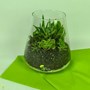 باغ شیشه ای کد 7